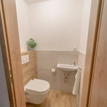 Apartment Vlcice 419 *